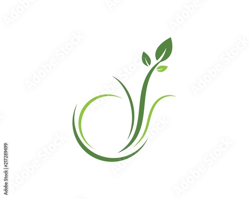 green leaf ecology nature element