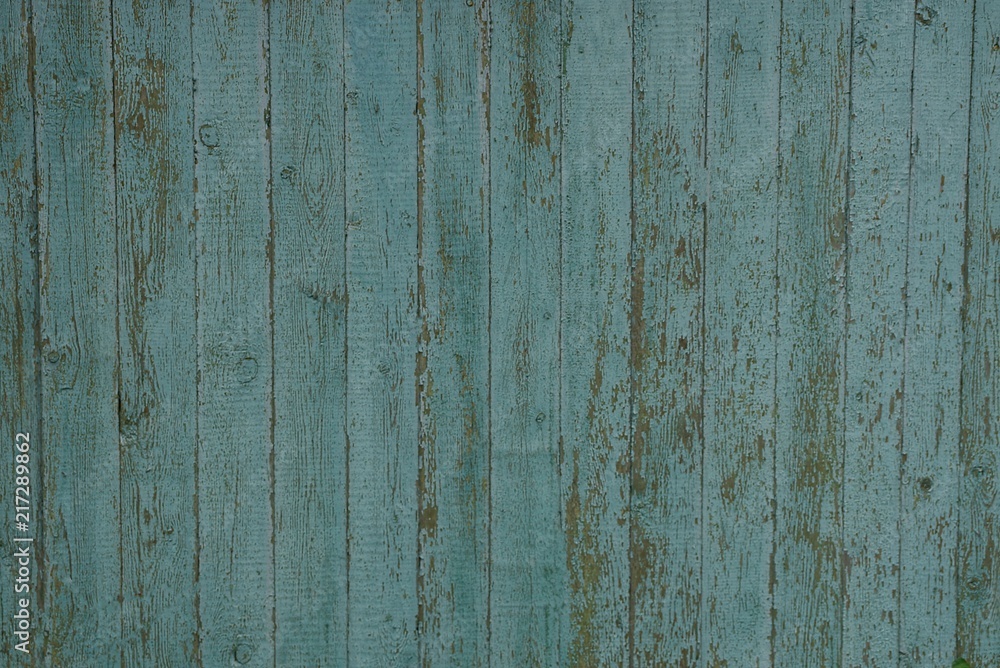 green wooden texture of old boards in a fence