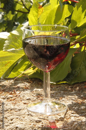 Verre de vin rouge devant une vigne
