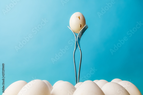 eggs