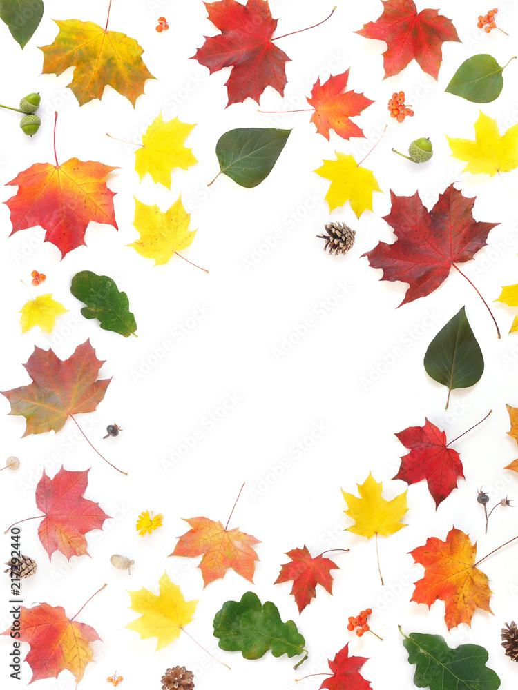 Frame of autumn yellow, orange and red maple leaves isolated on white background, top view, flat layout. Creative pattern, autumn background.