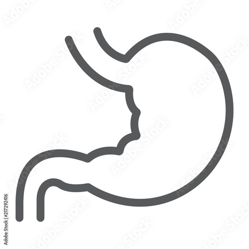 Stomach line icon, anatomy and biology, human organ sign, vector graphics, a linear pattern on a white background, eps 10.