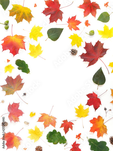 Frame of autumn yellow, orange and red maple leaves isolated on white background, top view, flat layout. Creative pattern, autumn background.