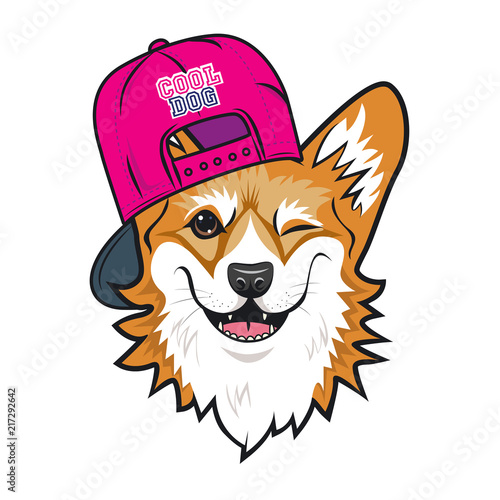Cool dog welsh corgi face with pink cap. Color vector illustration