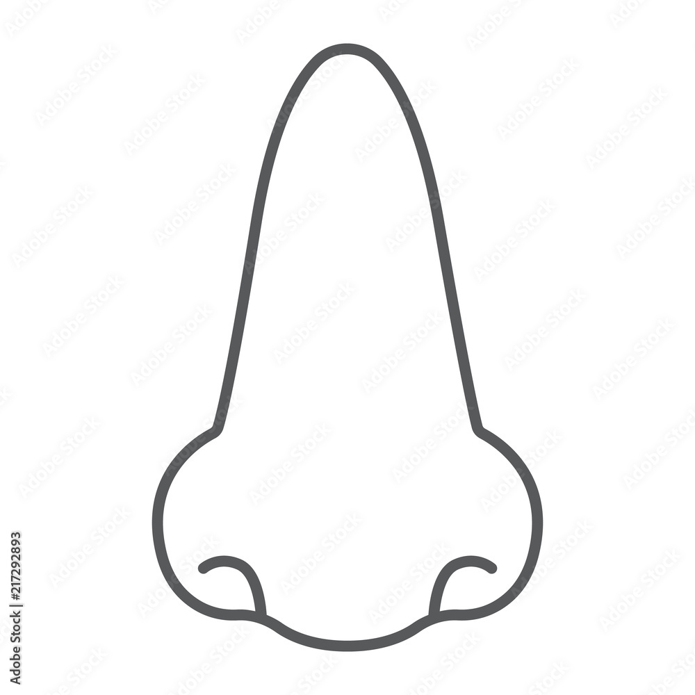 Nose thin line icon, anatomy and biology, rhinology sign, vector graphics, a linear pattern on a white background, eps 10. Nose thin line icon, anatomy and biology, rhinology sign, vector graphics, a linear pattern on a white background, eps 10.