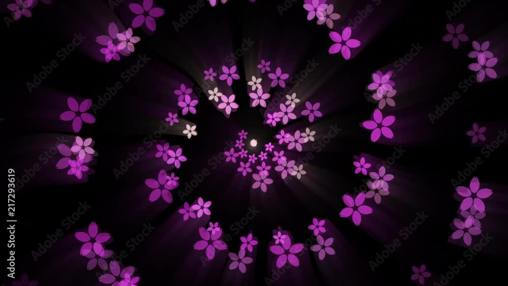Spiral particle of cherry blossoms. Spiral particle of cherry blossoms.