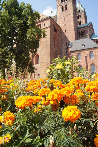 Blumen, Dom, Kirche