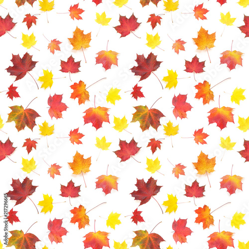 Autumn yellow  orange and red maple leaves isolated on white background  top view  flat layout. Creative seamless pattern. Autumn background.