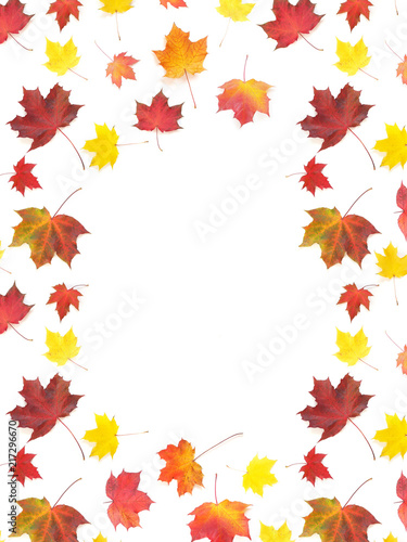 Frame of autumn yellow  orange and red maple leaves isolated on white background  top view  flat layout. Creative pattern  autumn background.