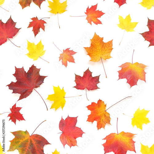 Autumn yellow, orange and red maple leaves isolated on white background, top view, flat layout. Creative seamless pattern. Autumn background.