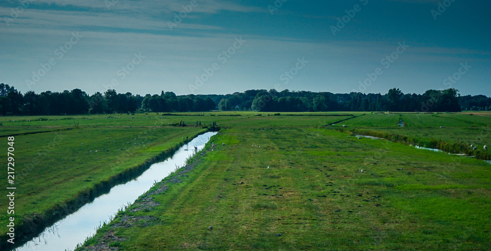 Netherlands, South Holland, a large long train on a lush green field