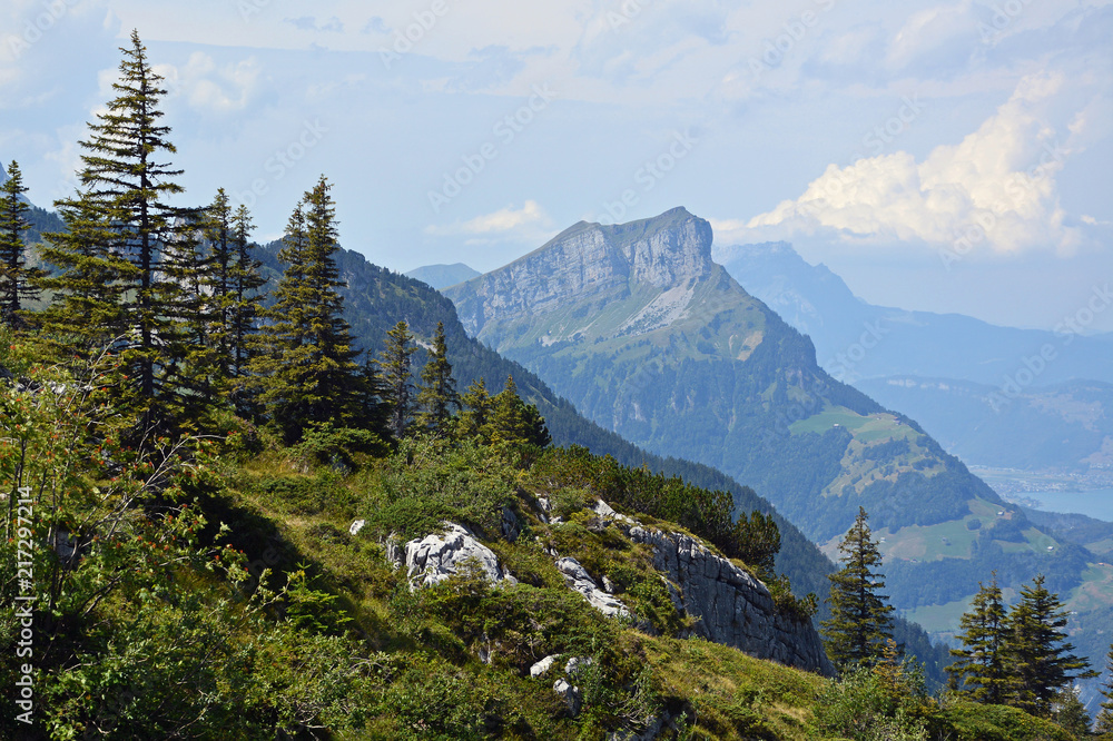Fototapeta premium Blick auf Niederbauen Chulm (1923m)