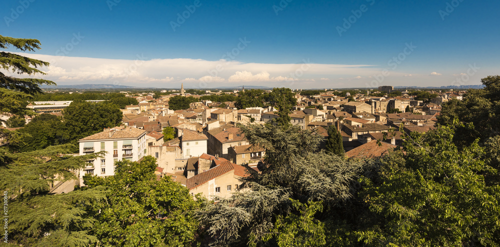 View from the Dom Garden on Avignon. Vaucluse, Provence, France, Europe.