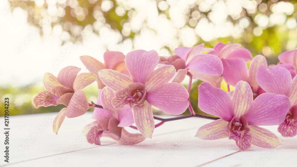 Purple orchid flower on a white wooden table. Purple orchid flower on a white wooden table.