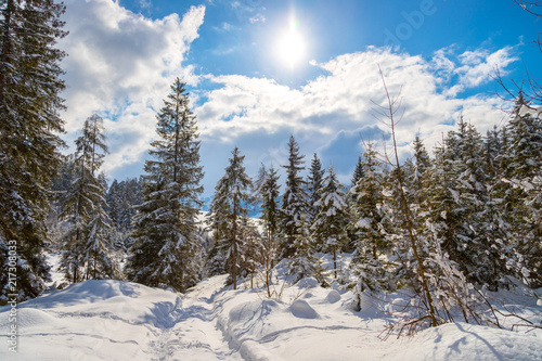 Verschneite Winterlandschaft in den Bergen, schneebedeckte Bäume 