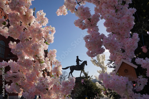 Rider on horseback monument visible trough pink flowers