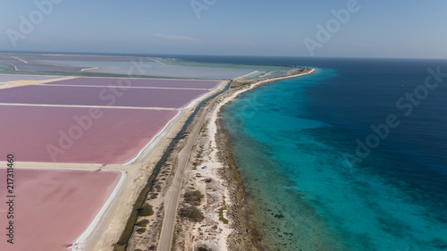 rose caribbean salt lake Bonaire island aerial drone top view