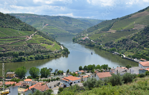 Vineyards in the valley of Douro river, Portugal