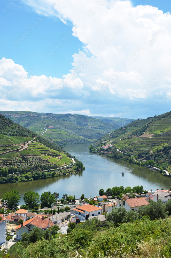 Vineyards in the valley of Douro river, Portugal