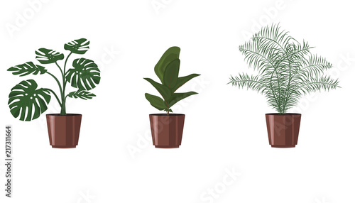 Set plant  in a flowerpot on a white background
