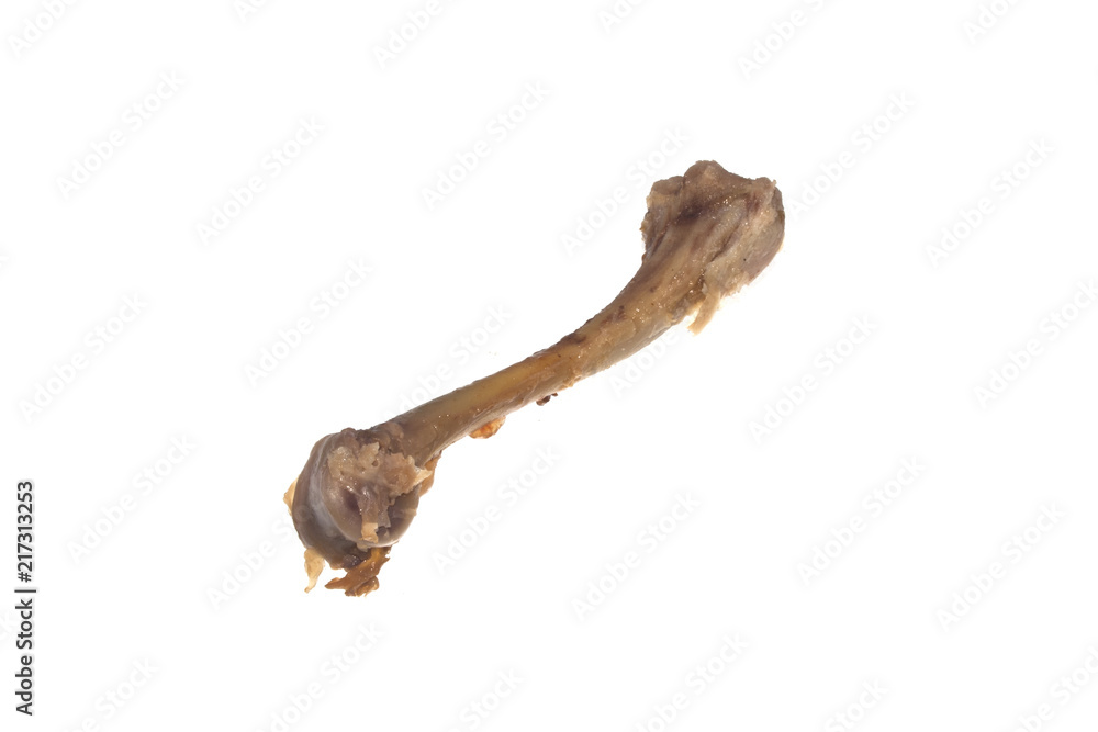 Obraz premium Bone isolated on white background
