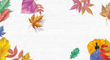 Autumn background with maple leaves and pumpkin. Fall background.