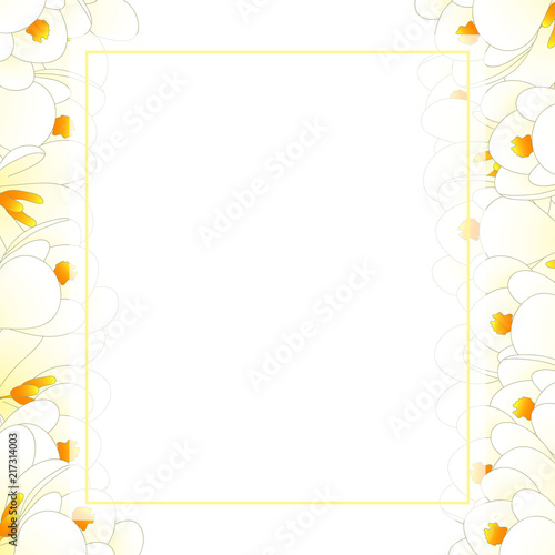 Fototapeta Naklejka Na Ścianę i Meble -  White Crocus Flower Banner Card Border