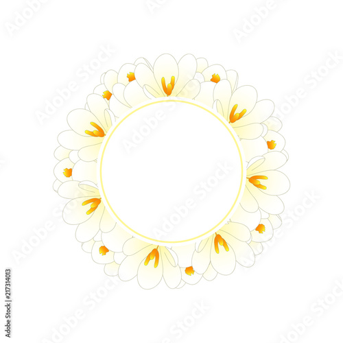 Fototapeta Naklejka Na Ścianę i Meble -  White Crocus Flower Banner Wreath