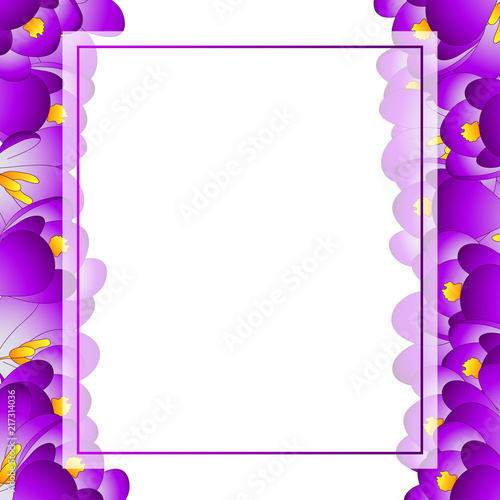 Fototapeta Naklejka Na Ścianę i Meble -  Purple Crocus Flower Banner Card Border