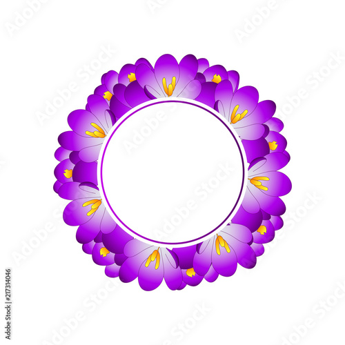 Fototapeta Naklejka Na Ścianę i Meble -  Purple Crocus Flower Banner Wreath