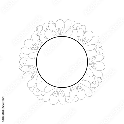 Fototapeta Naklejka Na Ścianę i Meble -  Crocus Flower Outline Banner Wreath