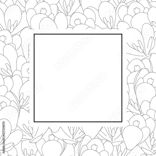 Fototapeta Naklejka Na Ścianę i Meble -  Crocus Flower Outline Banner Card