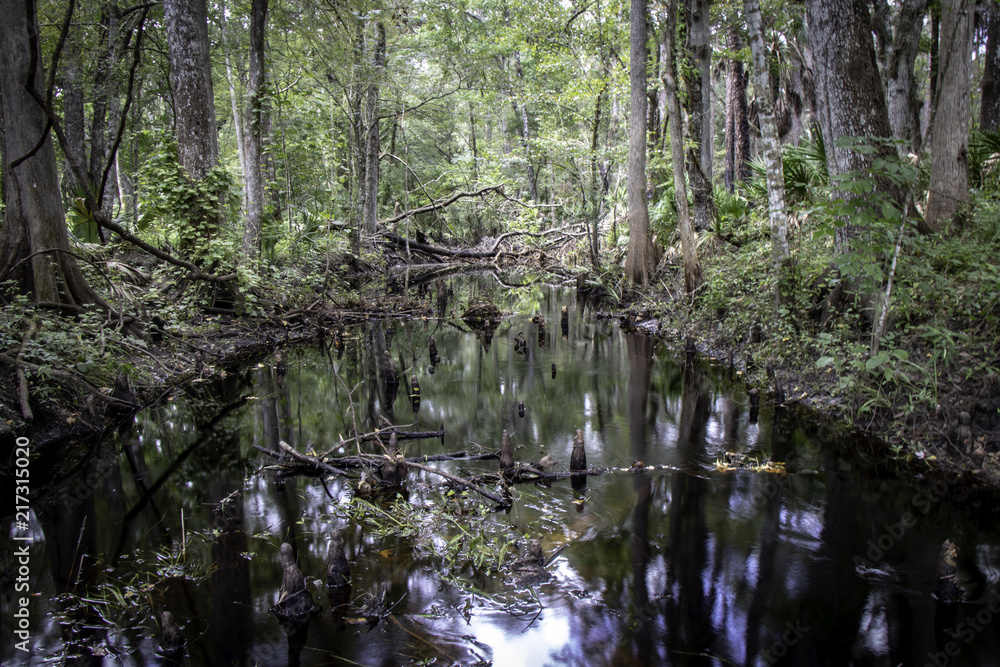 Gator Creek