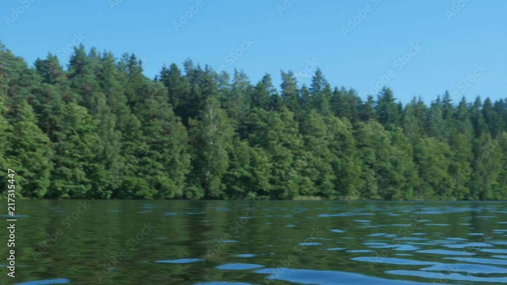 summer water, reed, forest and lake, siekierowo, dolly shot summer water, reed, forest and lake, siekierowo, dolly shot