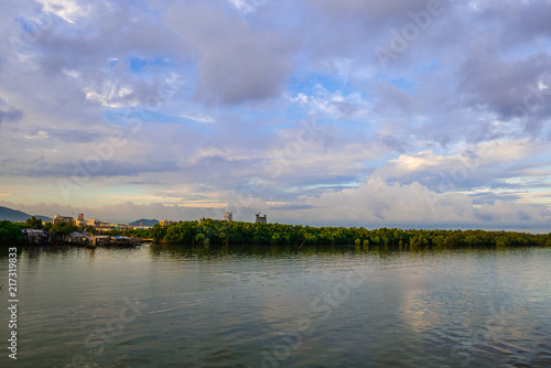 Mangrove forest and city