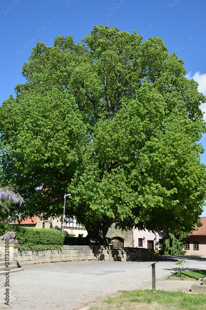 im schönen Werraland