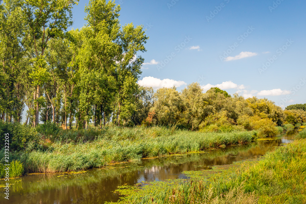 Fototapeta premium Creek diagonally in the image of a nature reserve