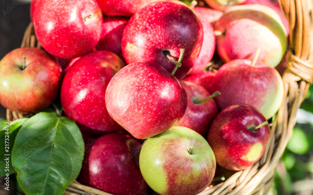 A lot of red appetizing apples in a wicker basket A lot of red appetizing apples in a wicker basket