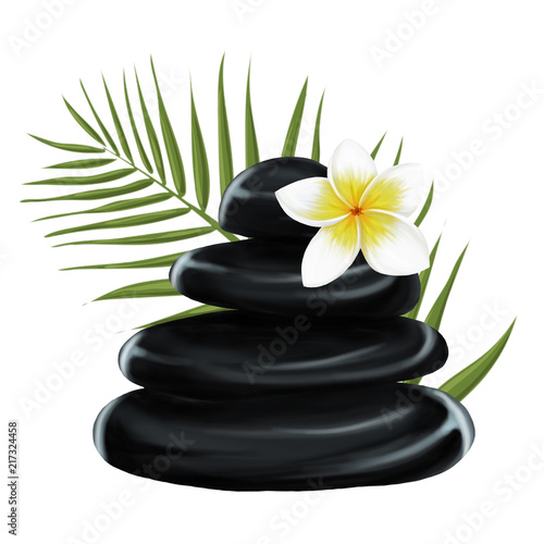 illustration with stones of Spa  plumeria and a palm leaf