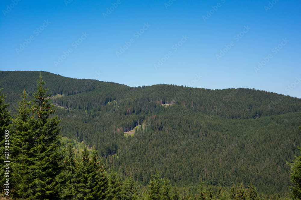 Scenic view from the top of the mountain in Romania, Carpathian mountains. Scenic view from the top of the mountain in Romania, Carpathian mountains.