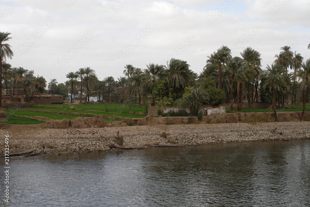 The Nile bank The Nile bank