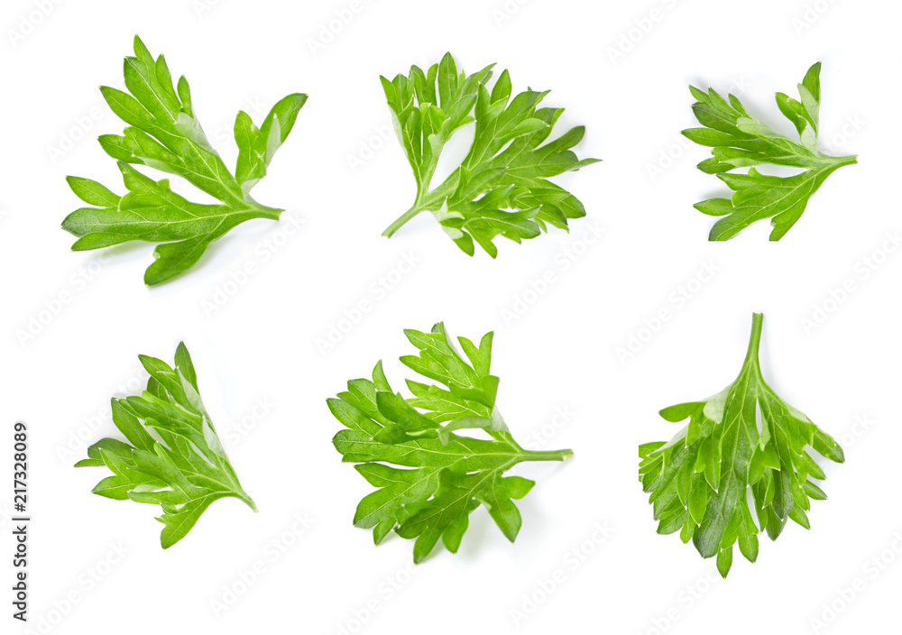 Collection of parsley isolated on white background. Top view. Collection of parsley isolated on white background. Top view.