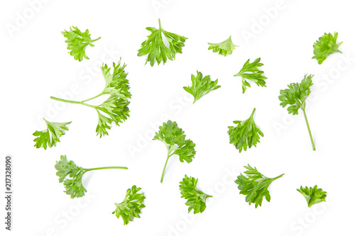 Collection of parsley isolated on white background. Top view.