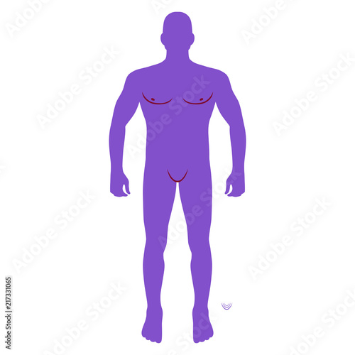 Fashion man figure