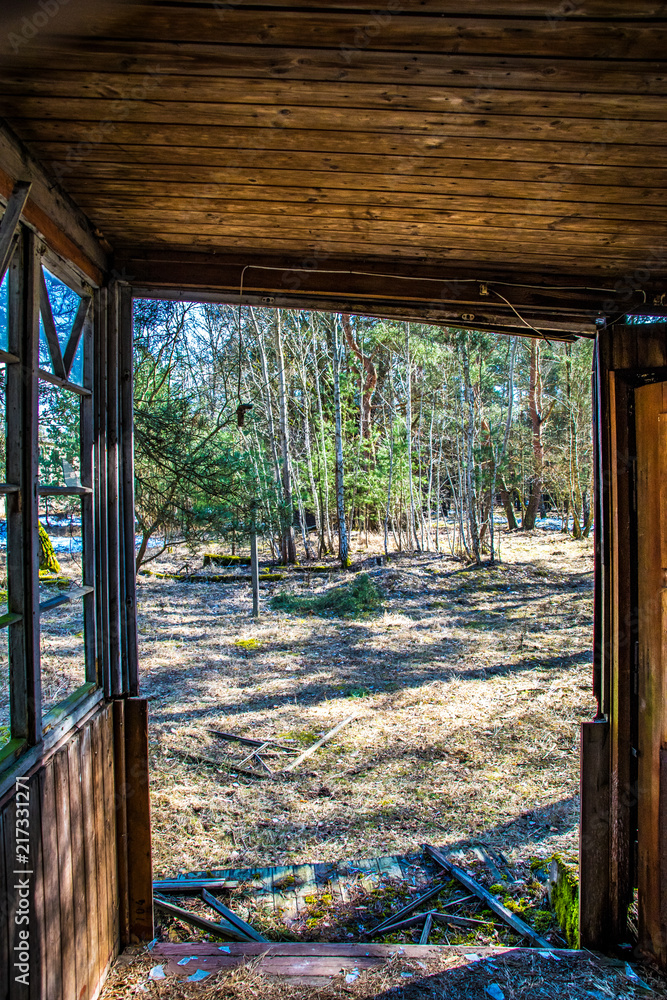 Blick aus verlassenem Haus in Wald