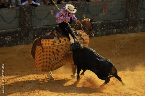 Picador Bullfight Corrida