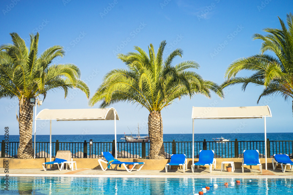 Tropical hotel beach pool palms and longue.