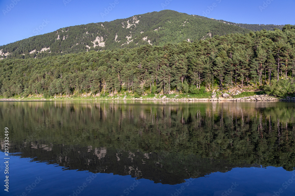 Mountain Lake in Andorra. Coniferous forest