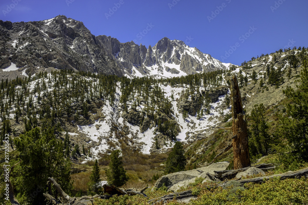 Sierra Nevada Mountain View