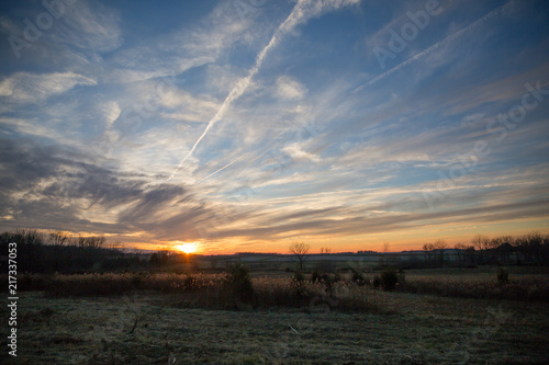 Dried Wild Grass and Country Fields In Pastel Winter Sunlight with Blue Sky